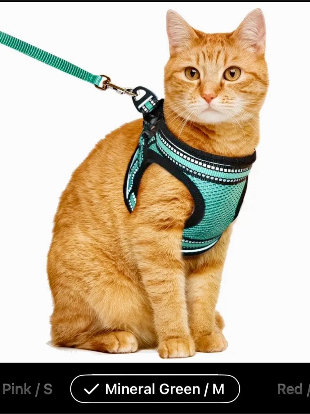 Small cat or dog mesh body harness and leash.